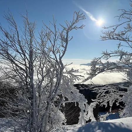 ベッド・アンド・ブレックファスト Il Seccatoio