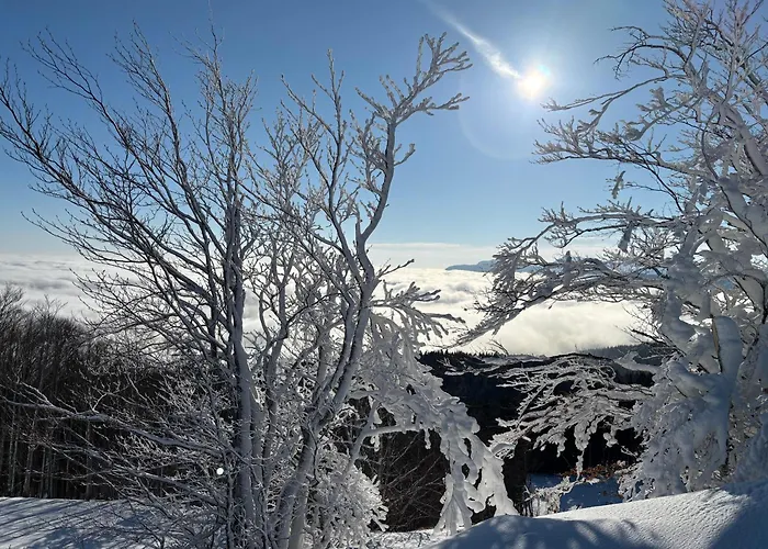 ベッド・アンド・ブレックファスト Il Seccatoio